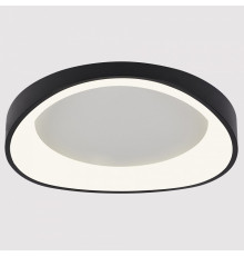 Накладной светильник Arte Lamp None A2698PL-60BK
