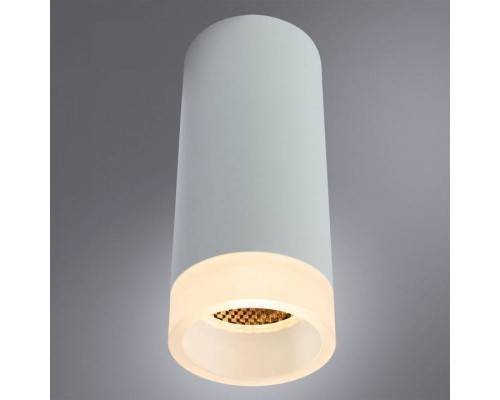 Накладной светильник Arte Lamp Ogma A5556PL-1WH