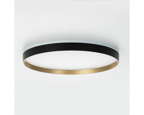 Накладной светильник Citilux ETALON CL750401R