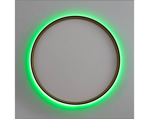 Накладной светильник Citilux ETALON CL750401R