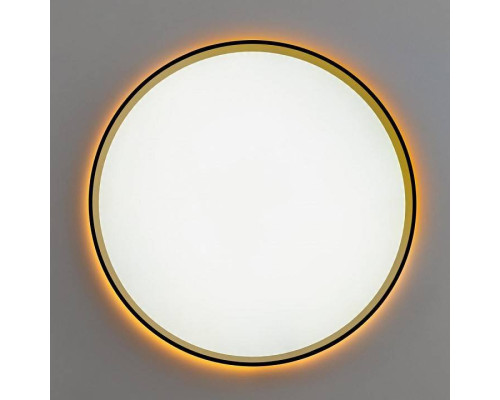 Накладной светильник Citilux ETALON CL750401R