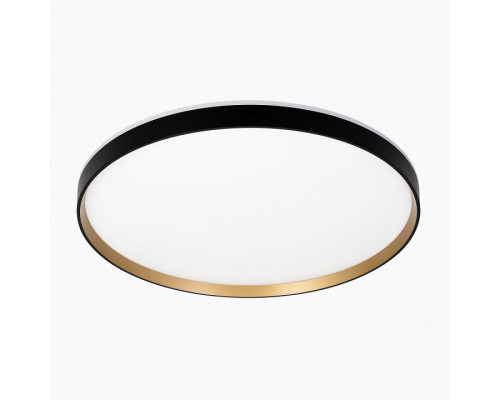 Накладной светильник Citilux ETALON CL750501R