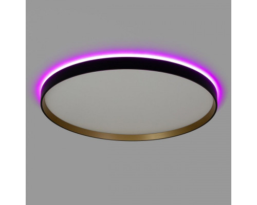 Накладной светильник Citilux ETALON CL750501R