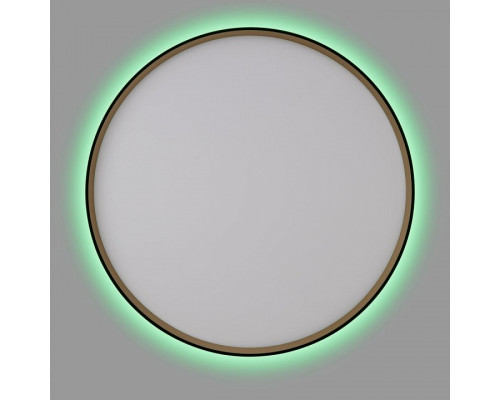 Накладной светильник Citilux ETALON CL750501R