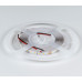 Лента светодиодная DesignLed DSG298 00-00000527