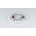 Лента светодиодная DesignLed DSG2120 DSG2120-9.6-24-W-33