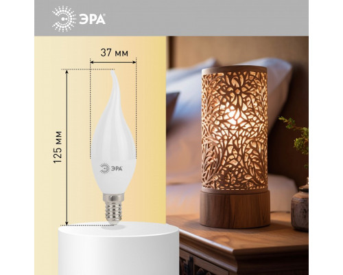 Лампа светодиодная Эра Стандарт LED BXS-11W-840-E14