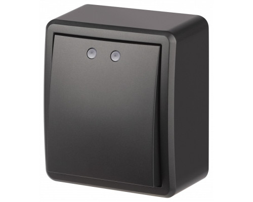 Выключатель одноклавишный с подсветкой Эра Эра Эксперт 11-1202-05