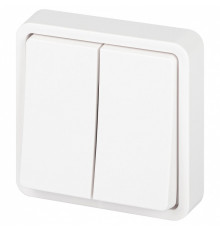 Выключатель двухклавишный Эра Эра Эксперт 11-1524-01
