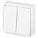 Выключатель двухклавишный Эра Эра Эксперт 11-1524-01