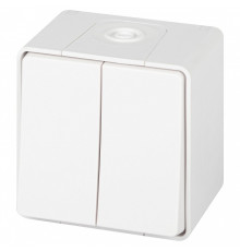 Переключатель двухклавишный Эра Эра Эксперт 11-1506-01