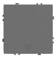 Выключатель двухполюсной самовозвратный без рамки Stekker Эмили 50328