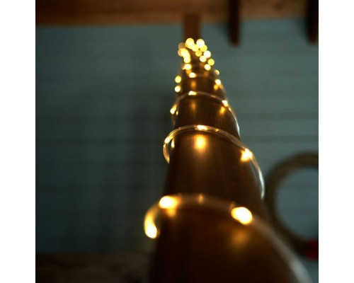 Шнур световой Feron CL587 51460