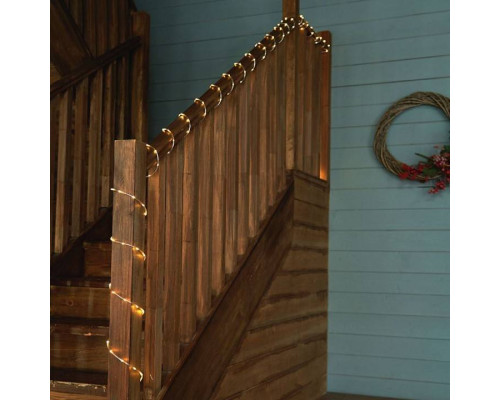 Шнур световой Feron CL587 51460