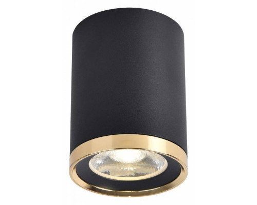 Накладной светильник Favourite Prakash 3086-1C