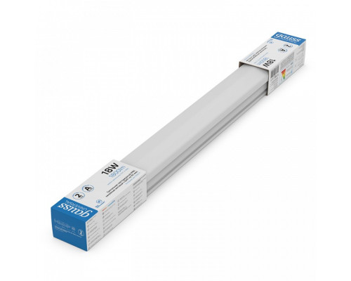 Накладной светильник Gauss  843424318A