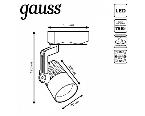 Светильник на штанге Gauss Track Light TR061