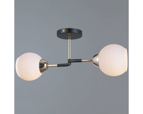 Светильник на штанге ILLUMICO LIBRA IL0689-2CSQ-24 BK FGD LIBRA