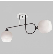 Светильник на штанге Imex MD.4243 MD.4243-2-S-BK+CH