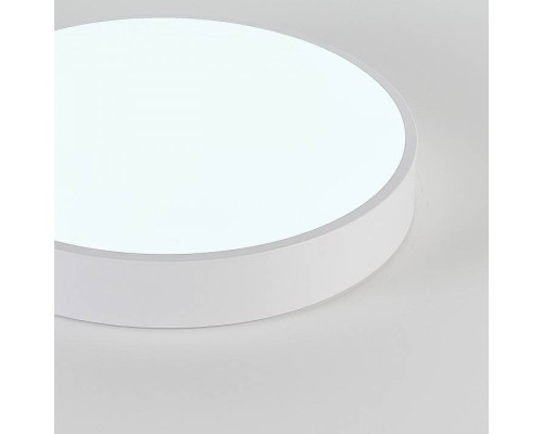 Накладной светильник Natali Kovaltseva  LED LAMPS 81111/5C