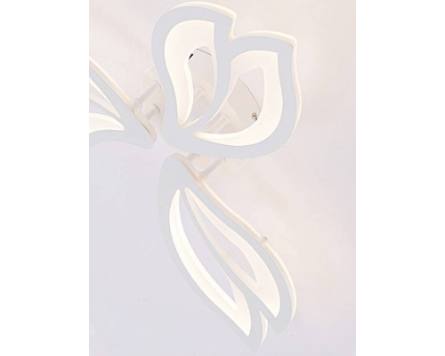 Потолочная люстра Natali Kovaltseva FORTUNA LED LAMPS 81107/2C