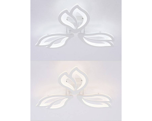 Потолочная люстра Natali Kovaltseva FORTUNA LED LAMPS 81107/2C