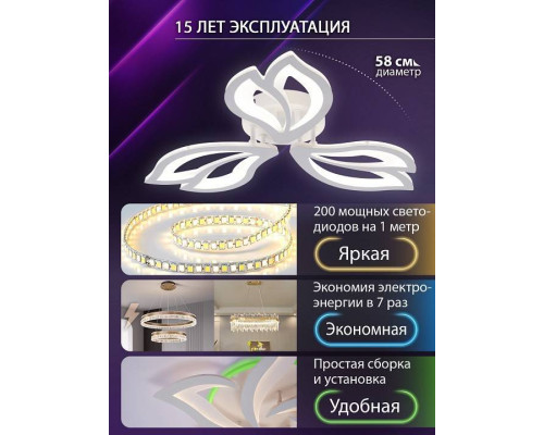 Потолочная люстра Natali Kovaltseva FORTUNA LED LAMPS 81107/2C