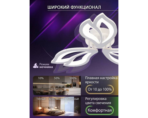 Потолочная люстра Natali Kovaltseva FORTUNA LED LAMPS 81107/2C