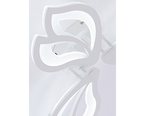 Потолочная люстра Natali Kovaltseva FORTUNA LED LAMPS 81107/2C