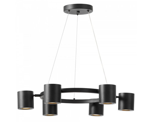 Подвесная люстра Lampit NATI TS P1999-6 BK