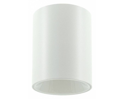 Накладной светильник LIGHTERA Shamrock LE200CL-1W