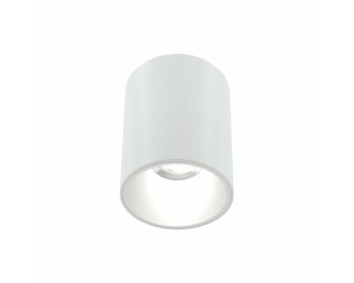 Накладной светильник LIGHTERA Shamrock LE200CL-1W