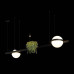 Подвесной светильник Loft it Jardin 10121/D