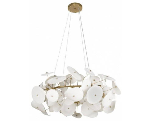 Подвесная люстра Loft it Paradise 10234/800