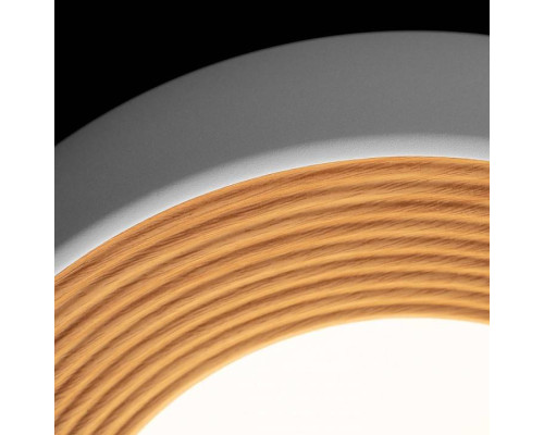 Накладной светильник Loft it Folk 10255/350 White