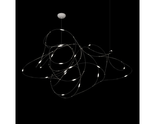 Подвесная люстра Loft it Flock of Light 10309/21 CR