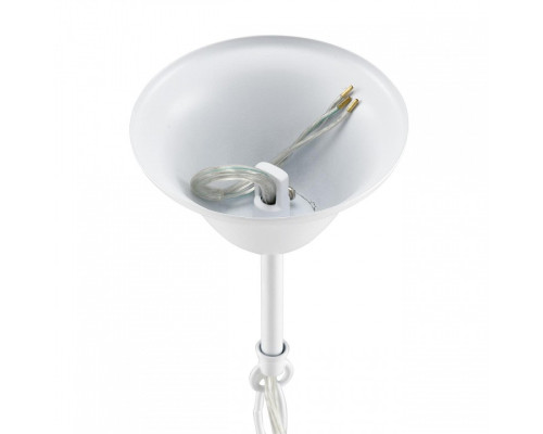 Подвесная люстра Lumion NANA 8260/6