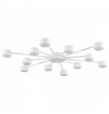 Потолочная люстра Lumion TORINA 8343/12C