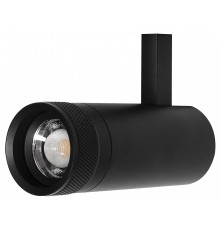 Светильник на штанге Lightstar Canno Pro 304127