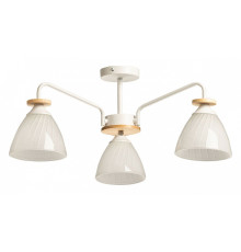 Люстра на штанге De City Дэла 22 116010103