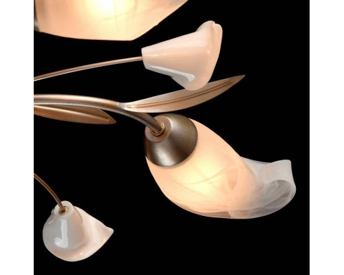 Потолочная люстра MW-Light Восторг 5 ламп 242016205