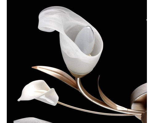 Потолочная люстра MW-Light Восторг 5 ламп 242016205