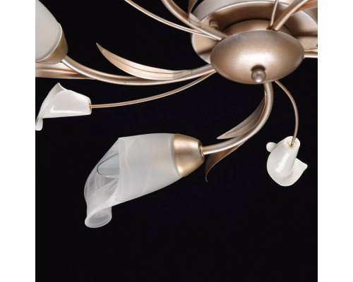 Потолочная люстра MW-Light Восторг 5 ламп 242016205