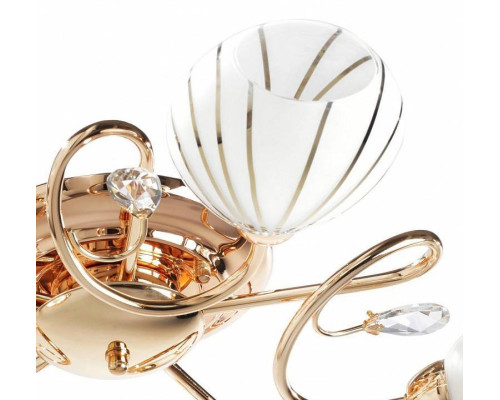 Потолочная люстра MW-Light Фиеста 10 5 ламп 267012005