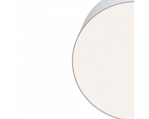 Накладной светильник Maytoni Technical Zon C032CL-L12W4K