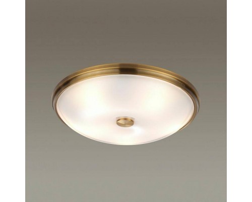 Накладной светильник Odeon Light Pelow 4956/5