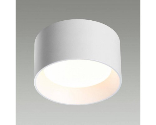 Накладной светильник Odeon Light Oben 6622/10CL