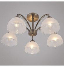 Люстра на штанге  01425-0.3-05 AB