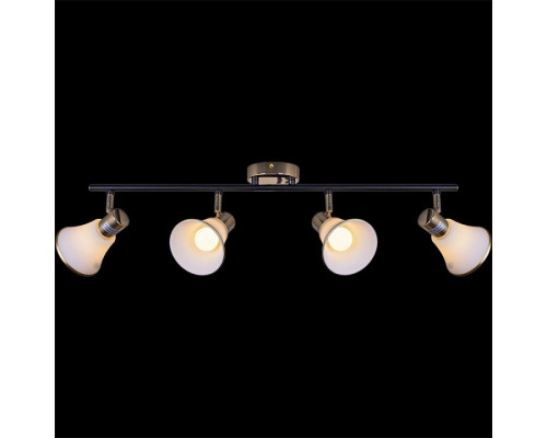 Люстра на штанге De Markt 05901-0.8-04 BK+FGD