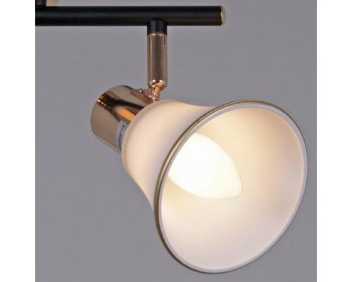 Люстра на штанге De Markt 05901-0.8-04 BK+FGD